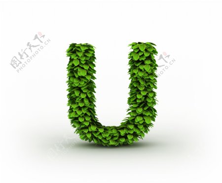 绿叶立体字母U图片