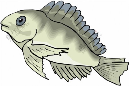 五彩小鱼水生动物矢量素材EPS格式0421