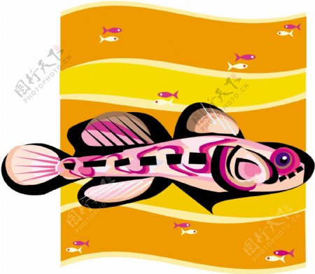 五彩小鱼水生动物矢量素材EPS格式0601
