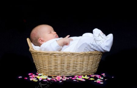 篮子里熟睡的新生宝宝特写图片
