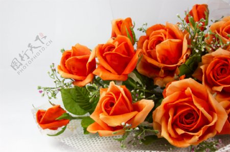 橙色玫瑰花装饰图片
