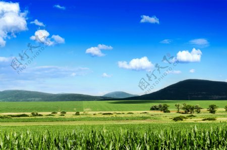 蓝天白云与草原风景图片