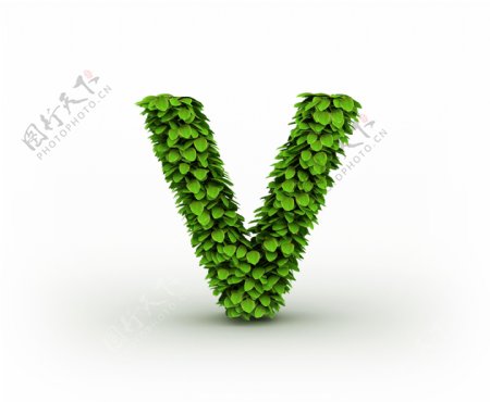 绿叶组成的字母V图片