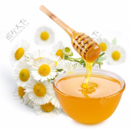 蜂蜜与鲜花图片