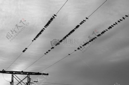 云鸟电缆电力线路