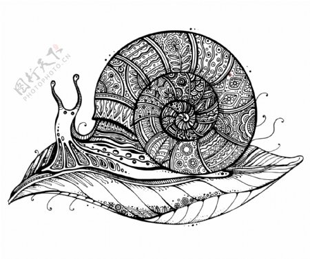 复古花纹蜗牛矢量素材下载