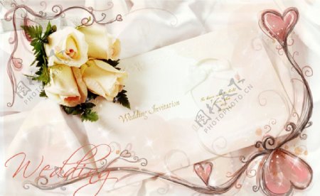 情人节白色玫瑰爱心设计