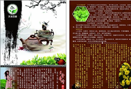 高山茶宣传页图片