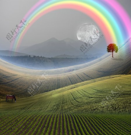 田野里的彩虹图片