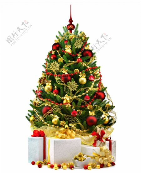 圣诞礼物与圣诞树