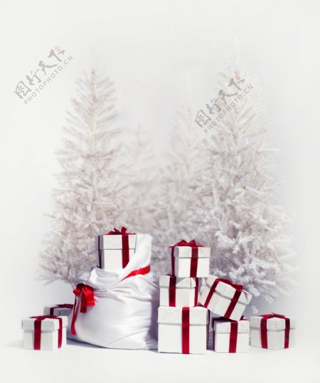 白色圣诞树前的礼物盒图片