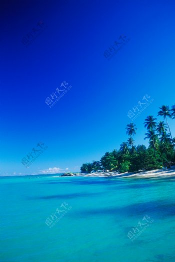 湛蓝色的海岸美景图片