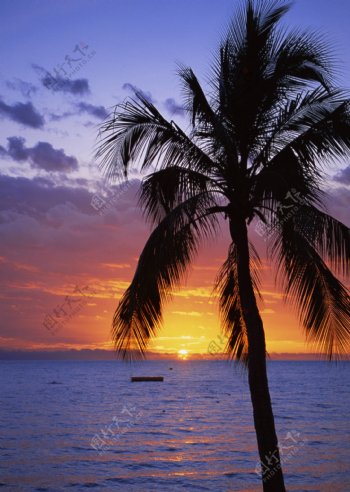 美丽的海边夕阳风景图片