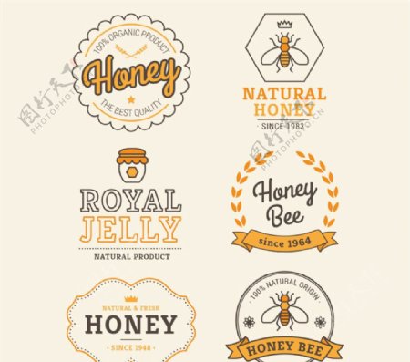 创意蜂蜜标签矢量素材