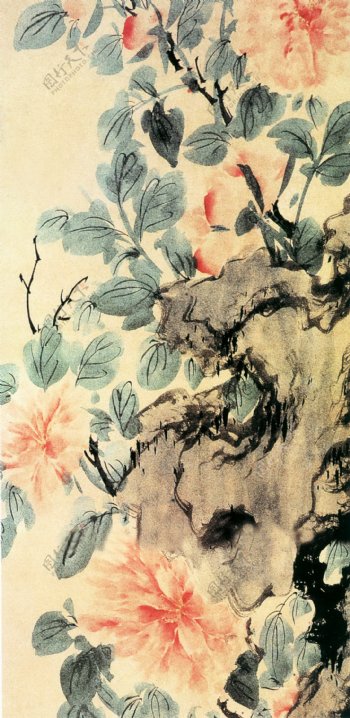 怪石牡丹中国画