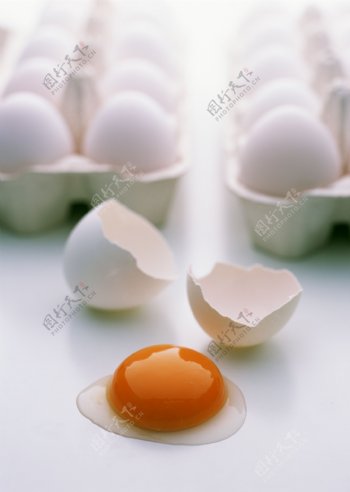 鸡蛋摄影图片