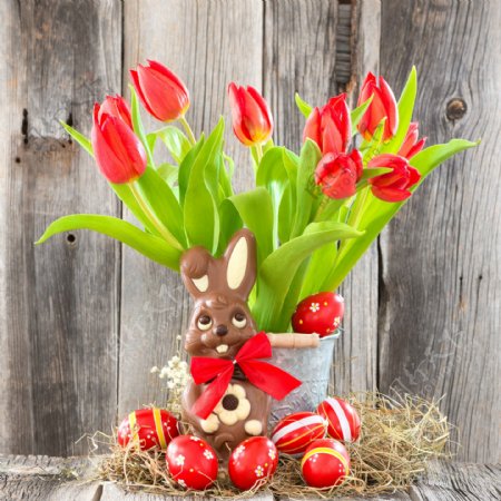 巧克力兔子和鲜花图片