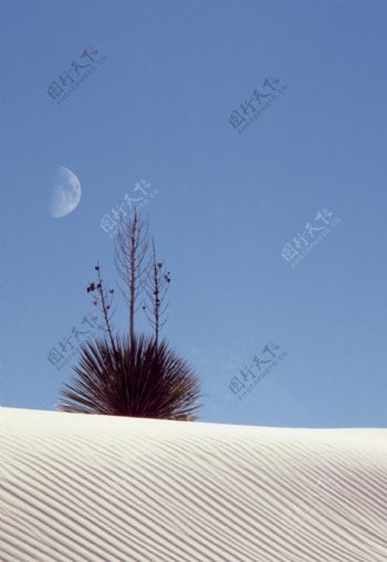 沙漠高清图片素材
