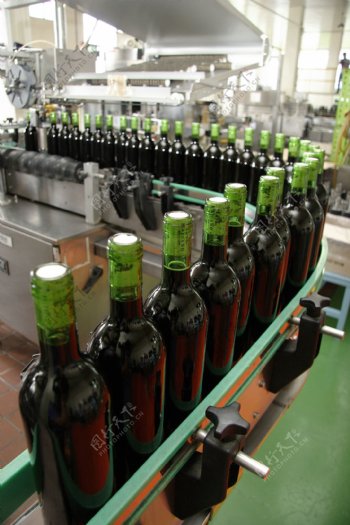 葡萄酒生产线特写图片图片