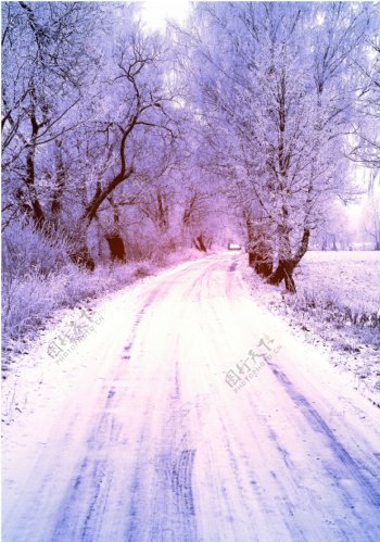 冬天公路雪景