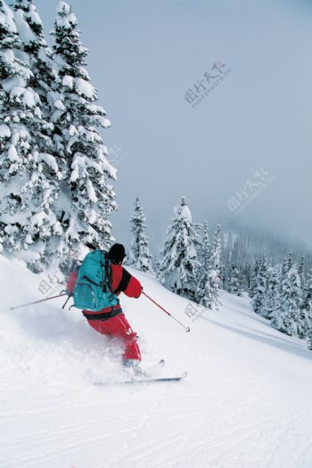 冬天高山划雪图片图片