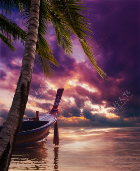 乌云下的椰树小船美景