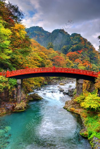 秋天树林拱桥风景