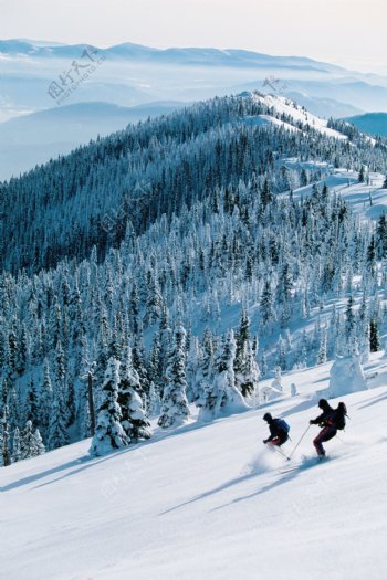 高山滑雪运动员高清图片
