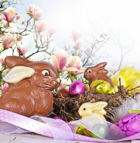 巧克力兔子和飘带图片