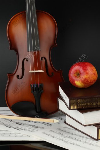 小提琴与苹果图片
