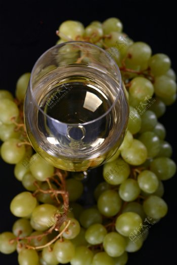 青葡萄里的葡萄酒图片