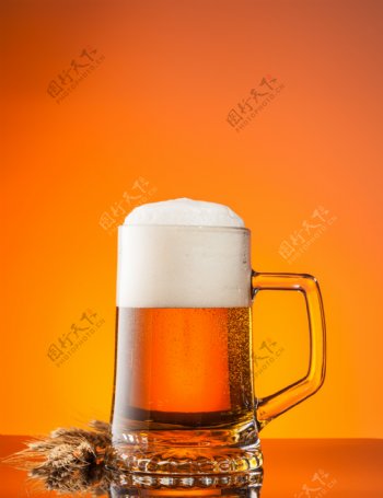 冒酒花的啤酒图片