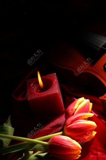 蜡烛与郁金香图片