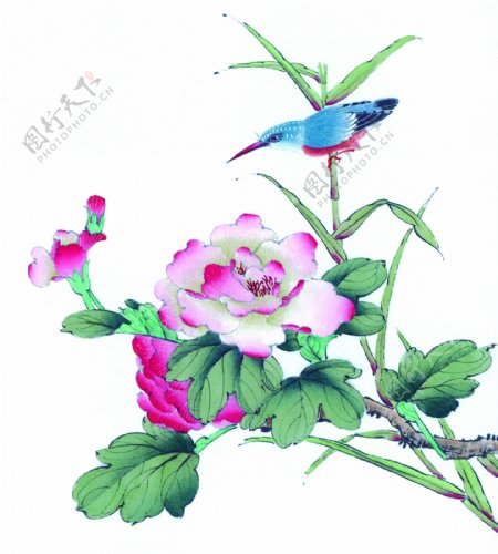 花卉与小鸟图片