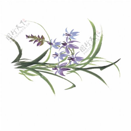 紫色中国风水墨花