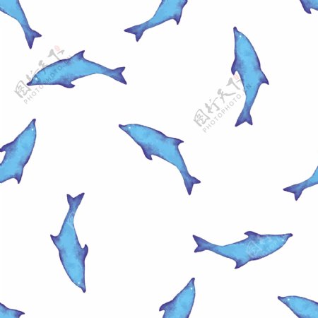 一群蓝色可爱海豚图片素材