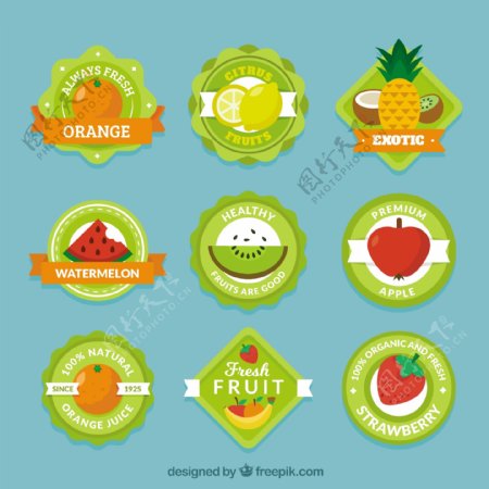 各种水果的绿色标签图标设计模板素材