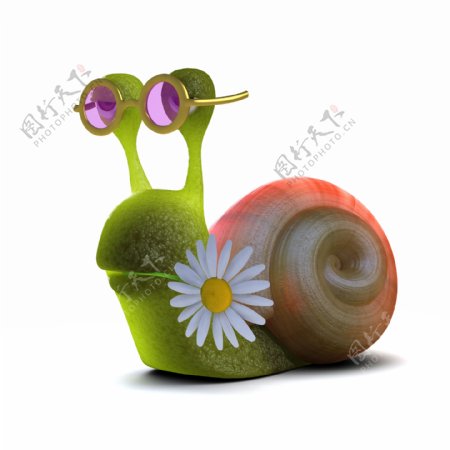 花朵与蜗牛图片