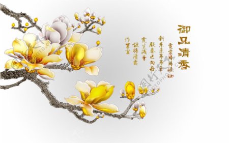 中国风玉兰花海报设计