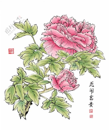 花卡富贵