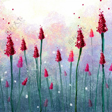 红色植物花朵油画图片