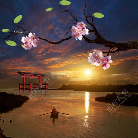 湖面上成型的桃花图片