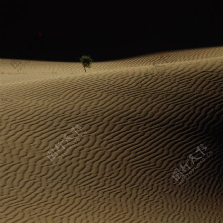 沙漠风景摄影图片