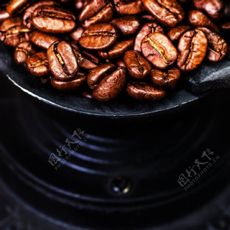 碗里的咖啡豆图片
