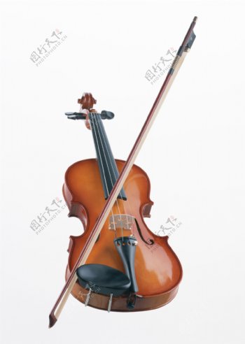 小提琴3图片