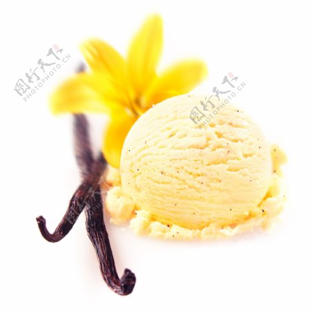 鲜花与冰淇淋图片