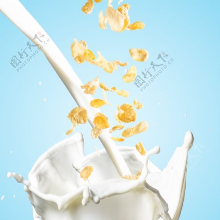 玉米片与动感牛奶图片