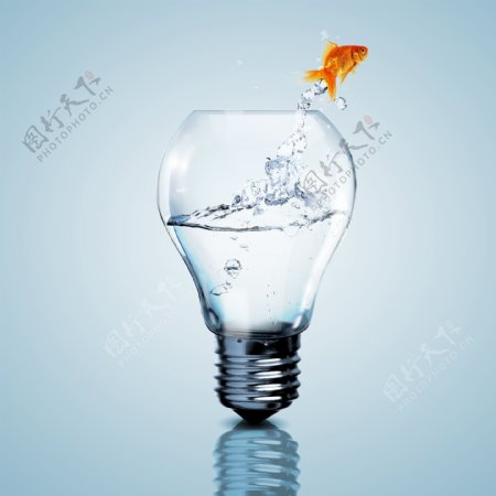 金鱼与灯泡素材图片