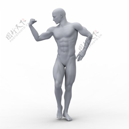 长着肌肉的塑料男人模型图片