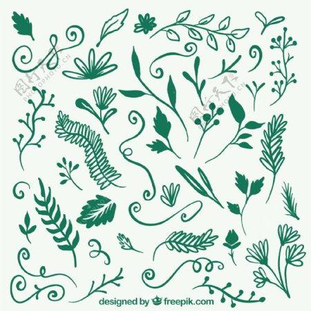 手绘绿色植物装饰